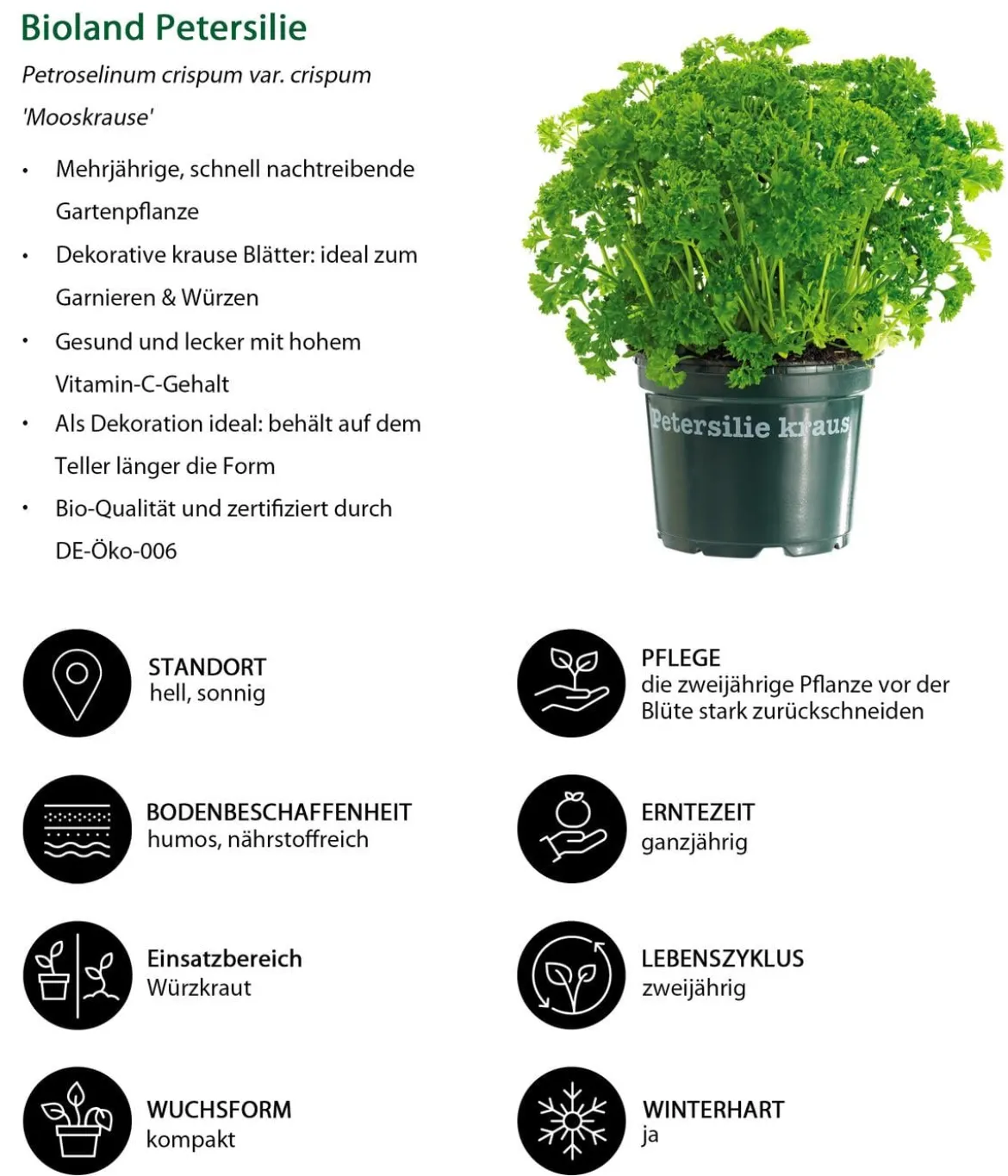 Kräuter-Set Küchenkräuter, 6-teilig