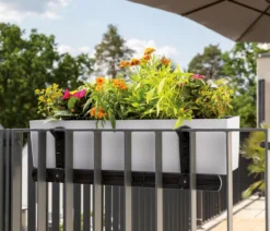 LECHUZA® Balkonkastenhalter-Ergänzung für Balconera 40/50 cm