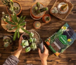 LECHUZA® CACTUSPON Pflanzsubstrat