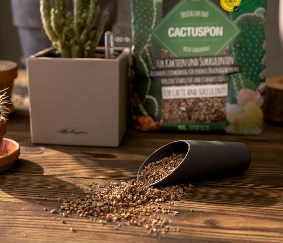 LECHUZA® CACTUSPON Pflanzsubstrat