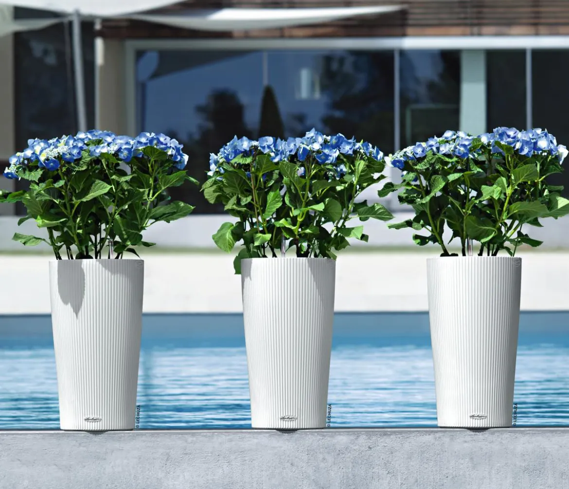 LECHUZA® CILINDRO Color, All-in-One Set