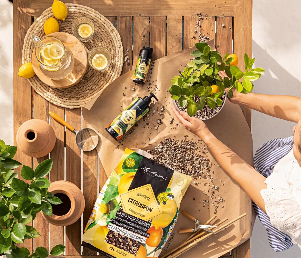 LECHUZA® CITRUSPON Spezialsubstrat