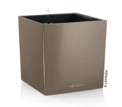 LECHUZA® CUBE, All-in-One Set