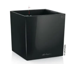 LECHUZA® CUBE, All-in-One Set