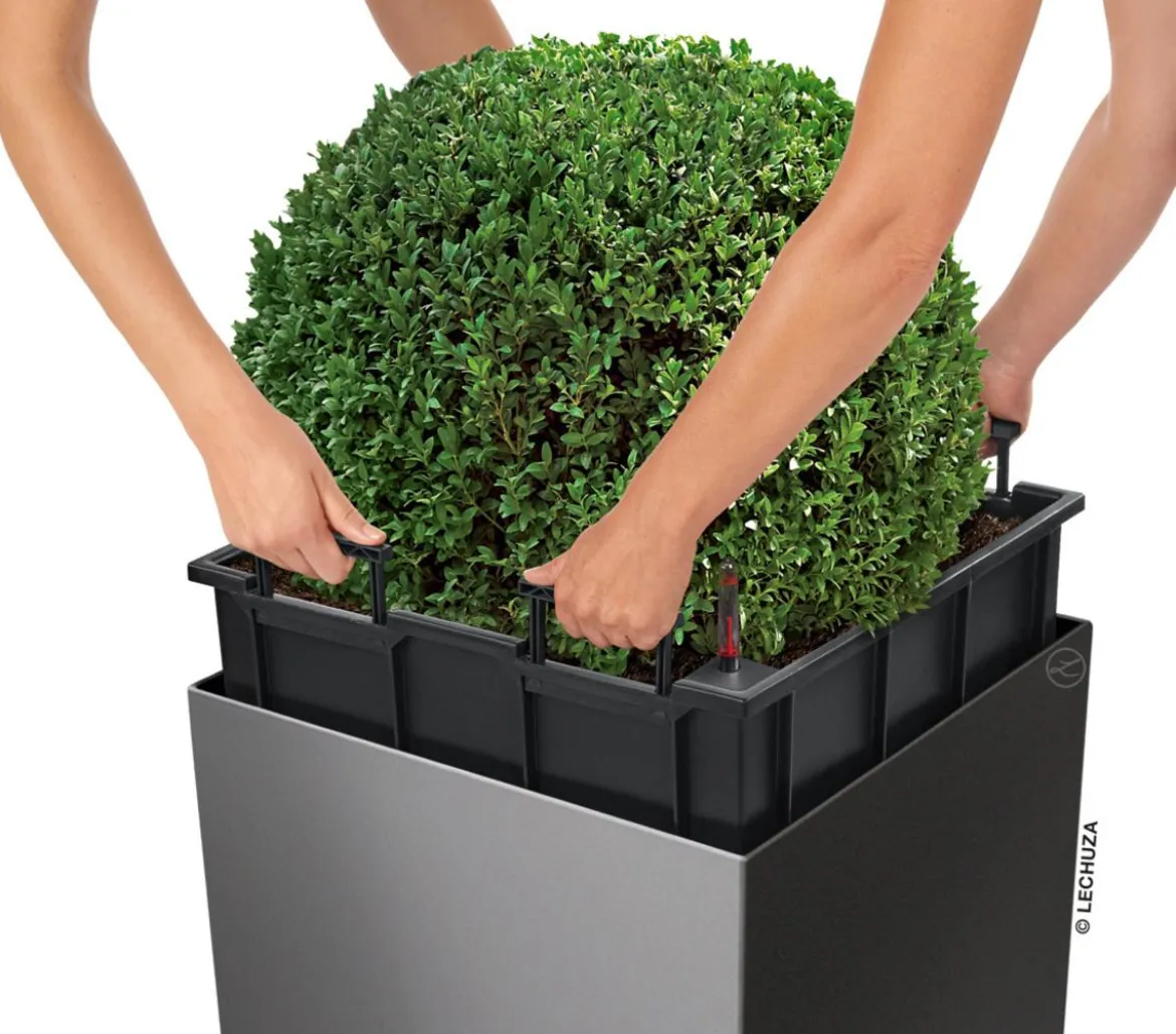 LECHUZA® CUBE, All-in-One Set