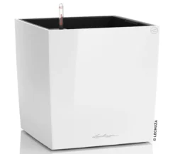 LECHUZA® CUBE, All-in-One Set