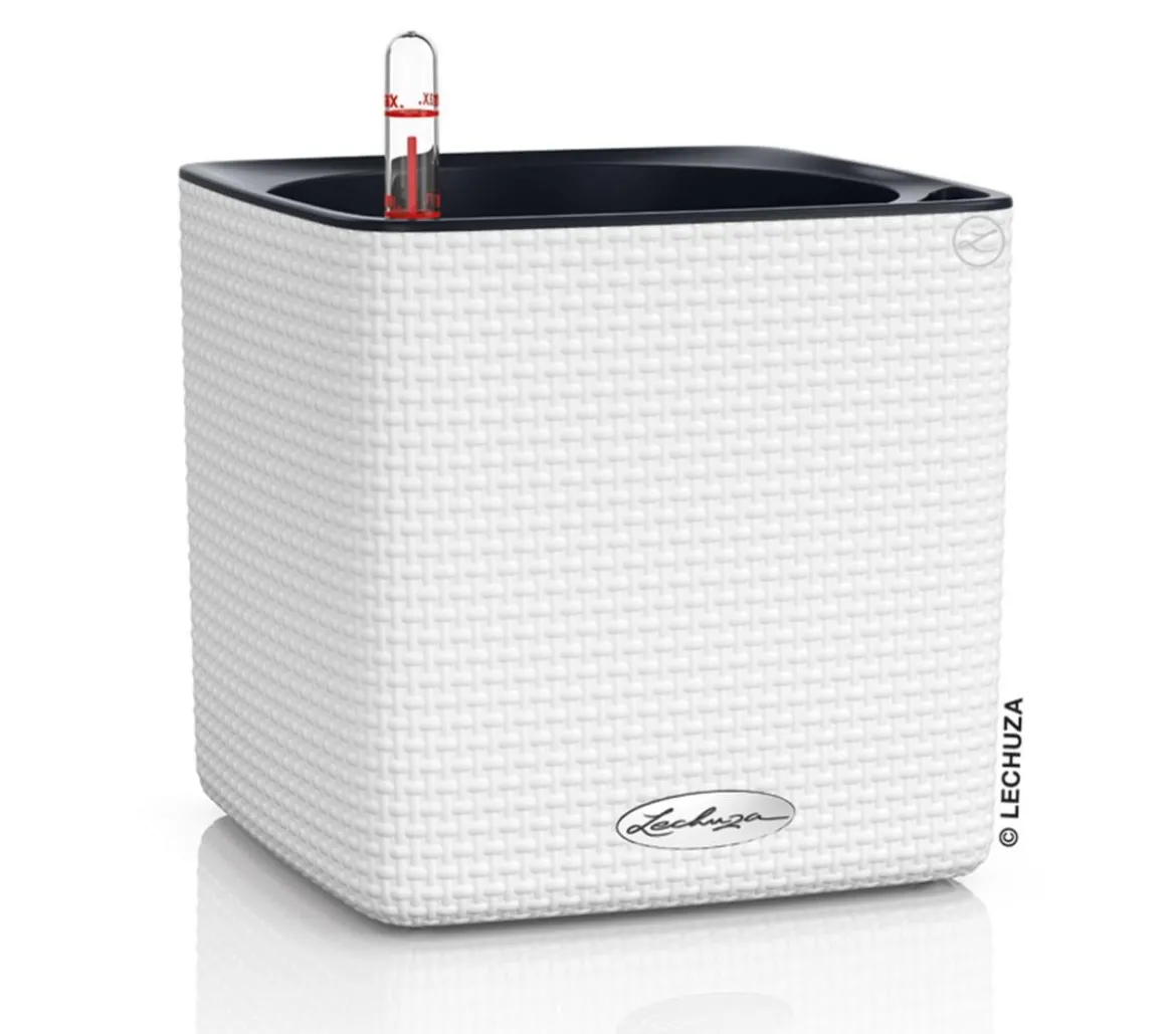 LECHUZA® CUBE Color, All-in-One Set