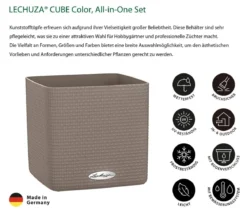LECHUZA® CUBE Color, All-in-One Set
