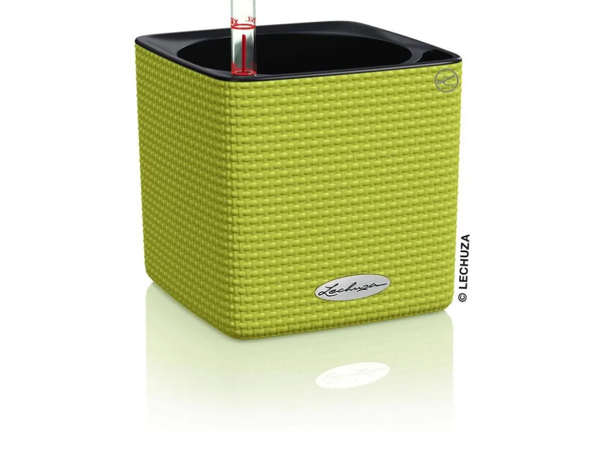LECHUZA® CUBE Color, All-in-One Set