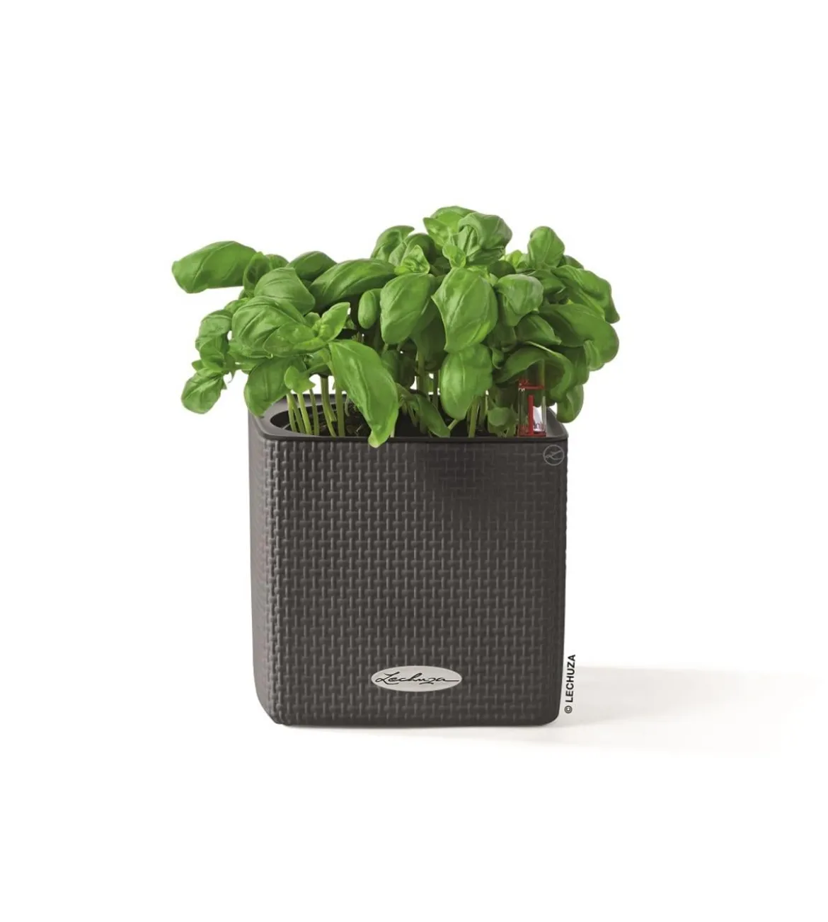 LECHUZA® CUBE Color, All-in-One Set