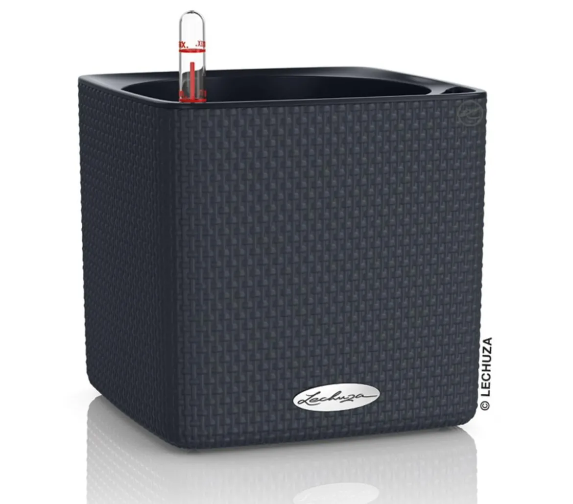 LECHUZA® CUBE Color, All-in-One Set