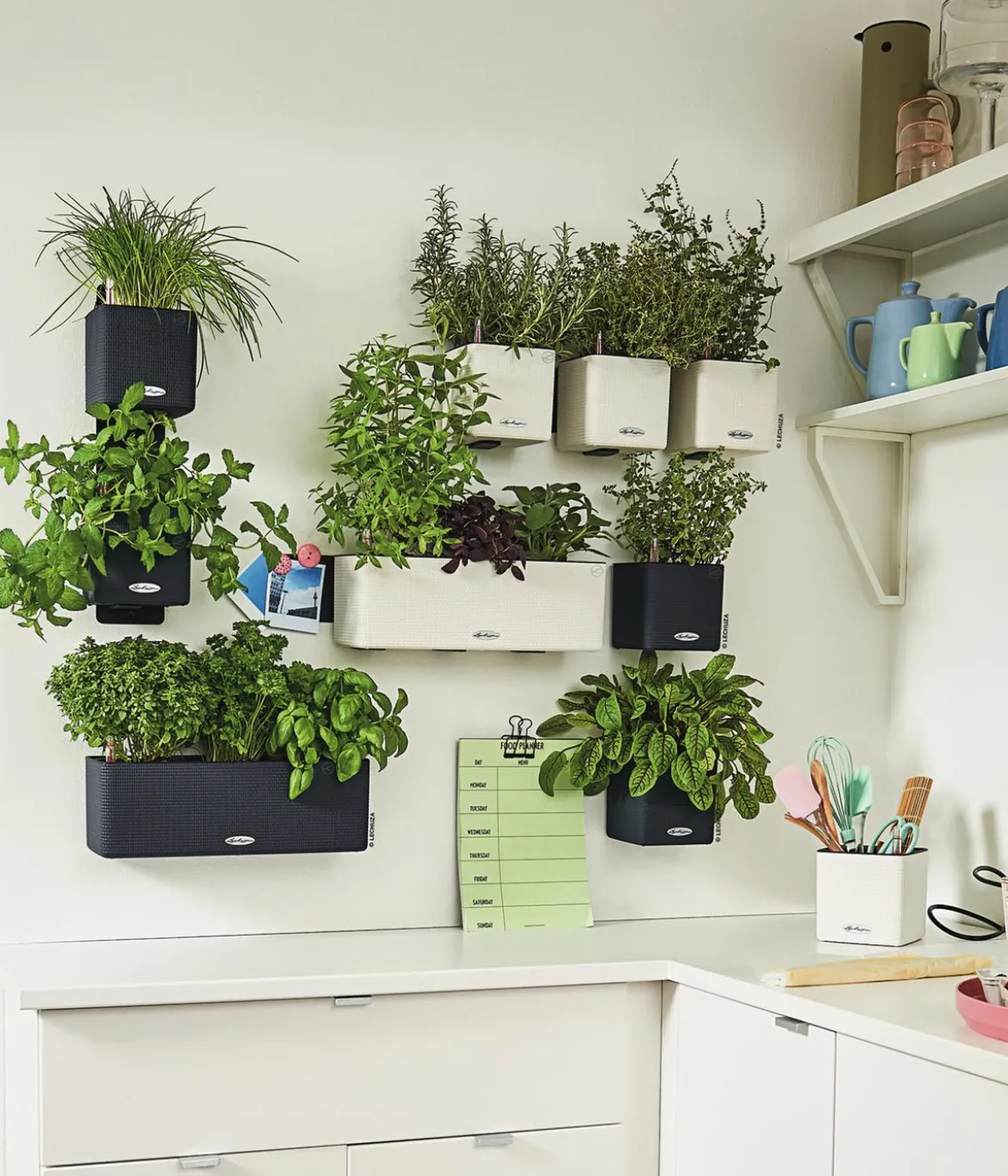 LECHUZA® CUBE Color Green Wall Home Kit, ca. B48/H14/T15 cm