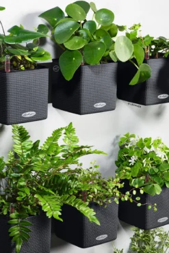 LECHUZA® CUBE Color Green Wall Home Kit, ca. B48/H14/T15 cm
