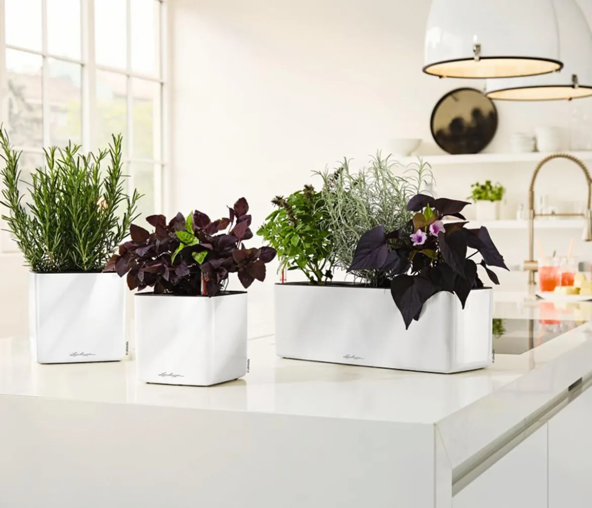 LECHUZA® CUBE Glossy Triple, All-in-One Set, 40 cm
