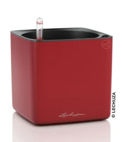 LECHUZA® CUBE Premium, All-in-One Set, matt