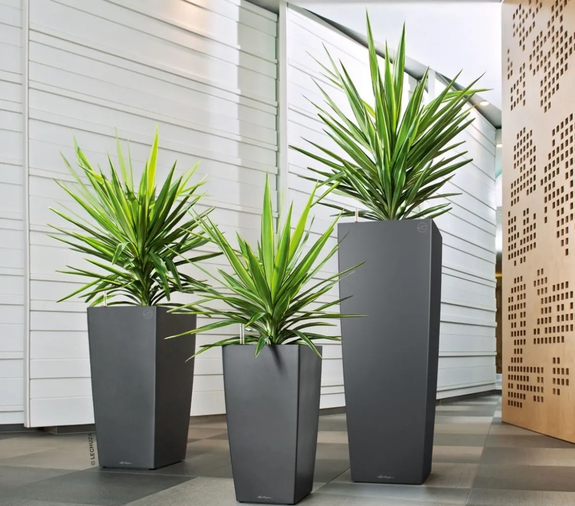 LECHUZA® CUBICO ALTO, All-in-One-Set, ca. B40/H105/T40 cm