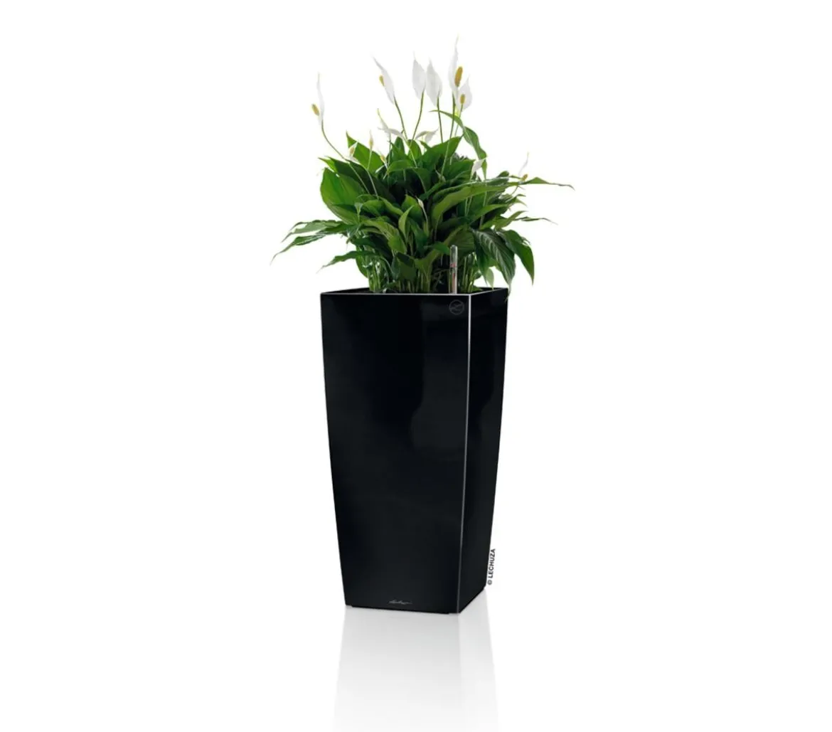 LECHUZA® CUBICO Premium, All-in-One-Set