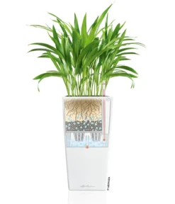 LECHUZA® CUBICO Premium, All-in-One-Set