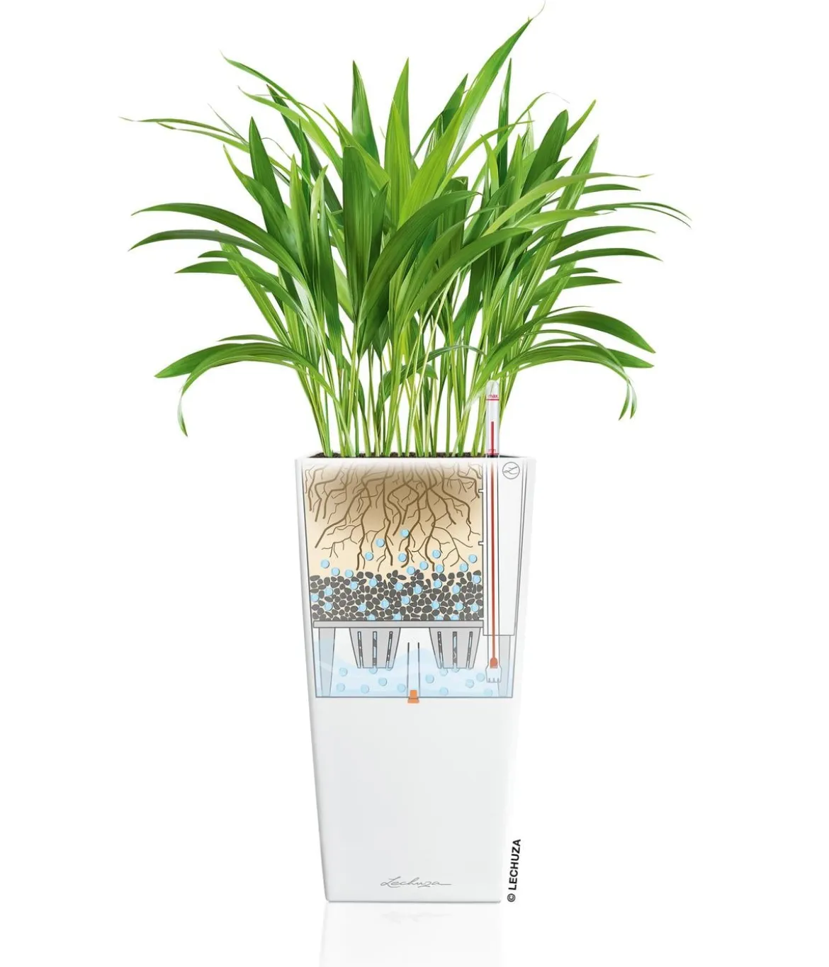 LECHUZA® CUBICO Premium, All-in-One-Set