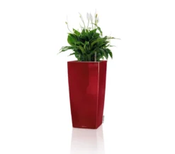 LECHUZA® CUBICO Premium, All-in-One-Set