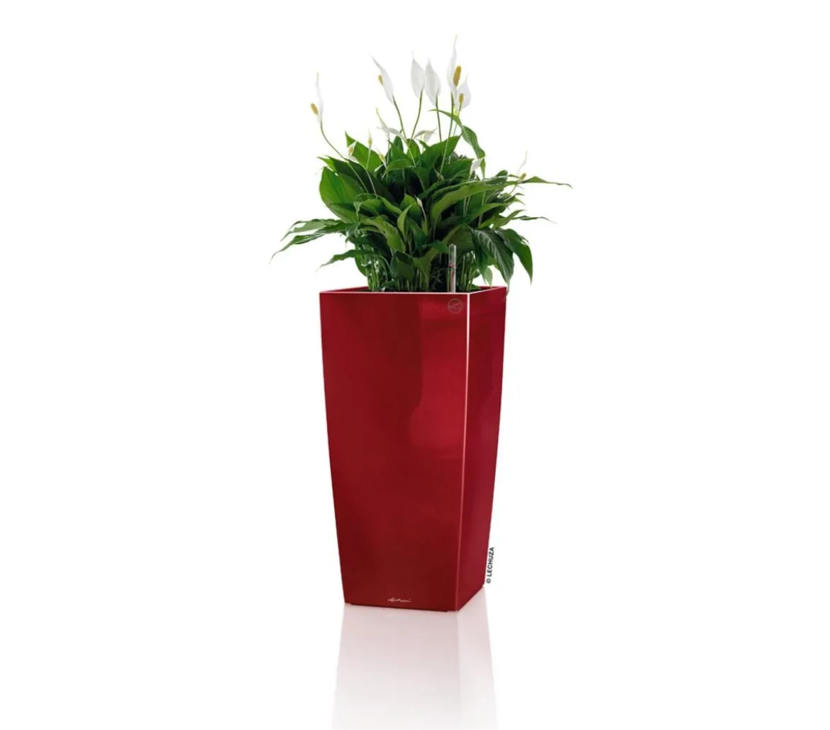 LECHUZA® CUBICO Premium, All-in-One-Set