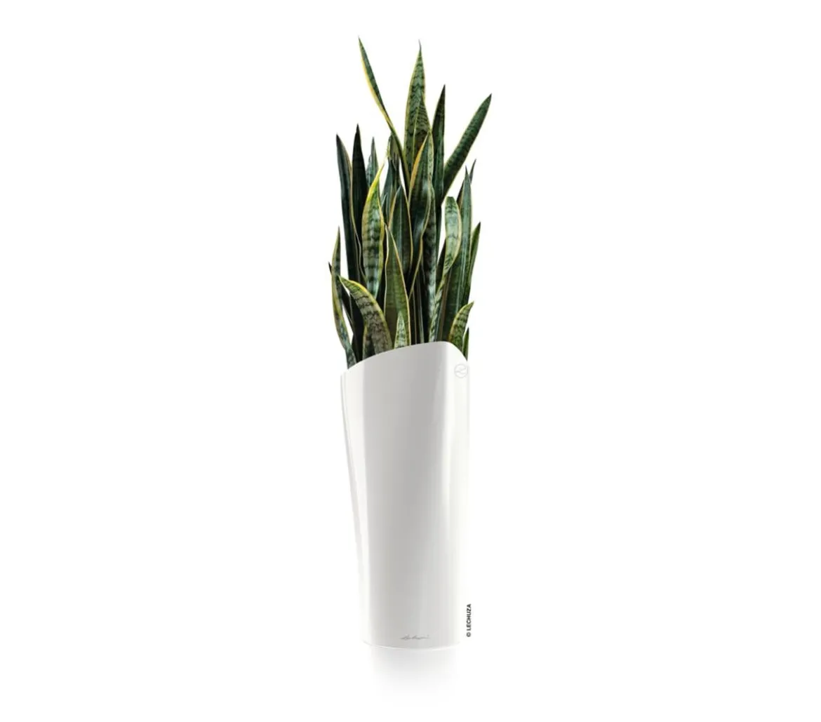LECHUZA® DELTA, All-in-One-Set
