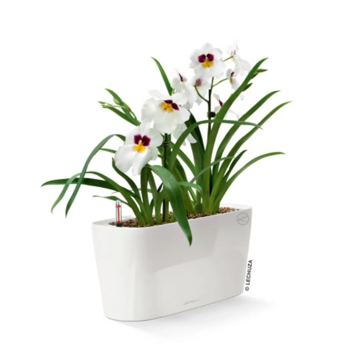 LECHUZA® DELTA, All-in-One-Set, hochglanz