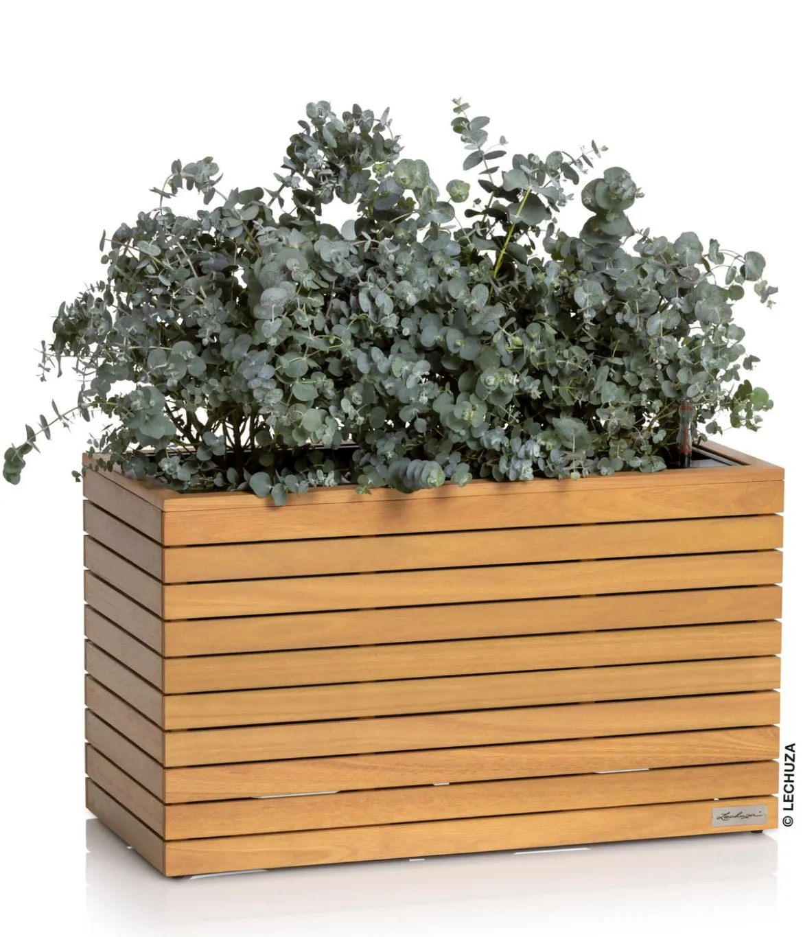 LECHUZA® Holz-Kasten PALO Natural Wood 80, rechteckig