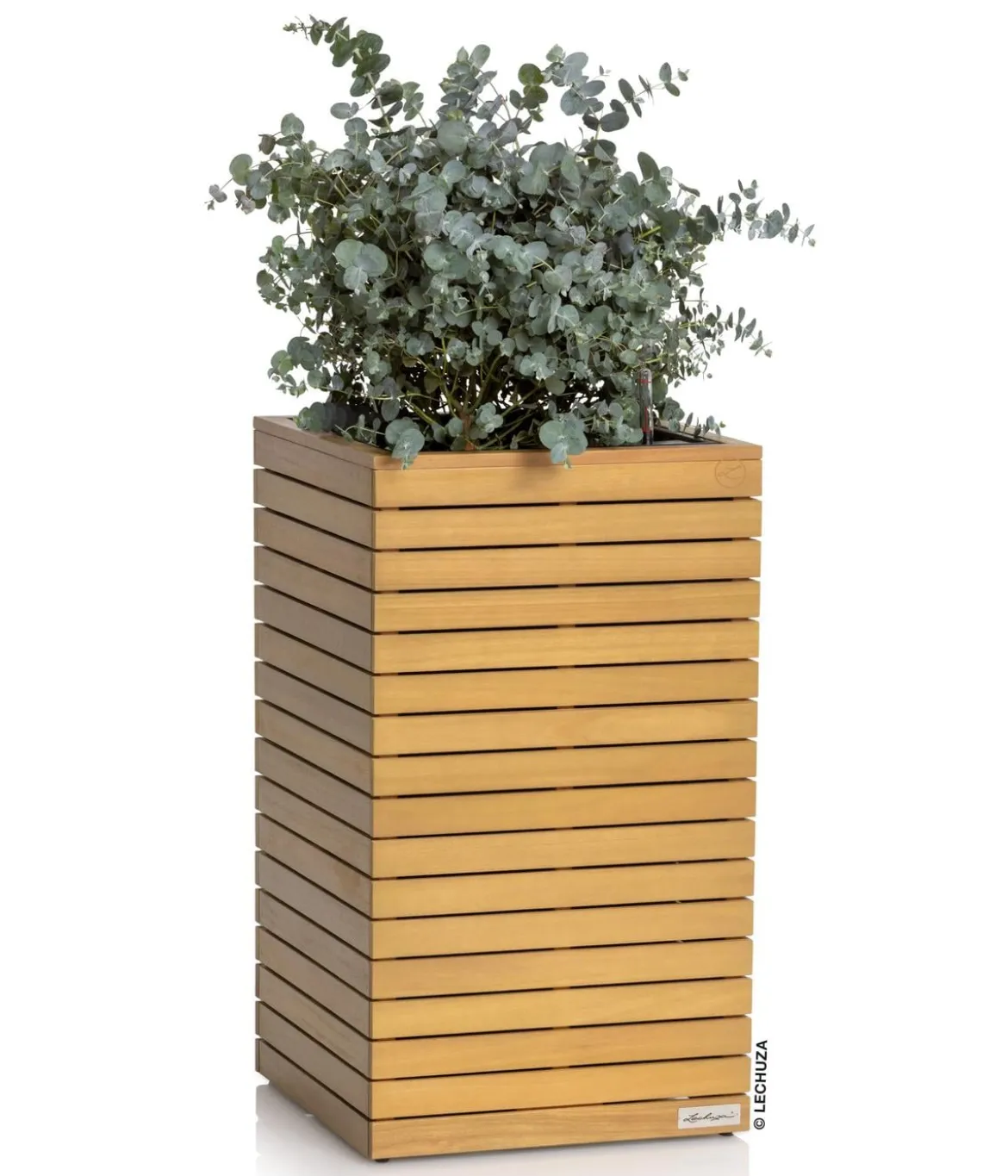 LECHUZA® Holz-Kasten PALO Natural Wood 45, quadratisch