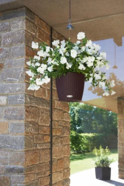 LECHUZA® Kunststoff-Hängeampel Nido Cottage