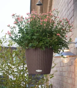 LECHUZA® Kunststoff-Hängeampel Nido Cottage