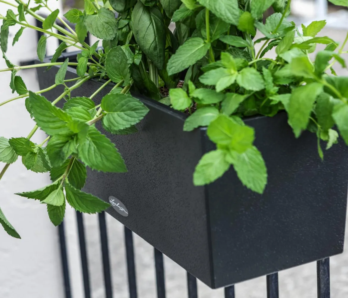 LECHUZA® Kunststoff-Kasten Balconera Stone, rechteckig