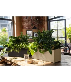 LECHUZA® Kunststoff-Kasten Balconera Stone, rechteckig