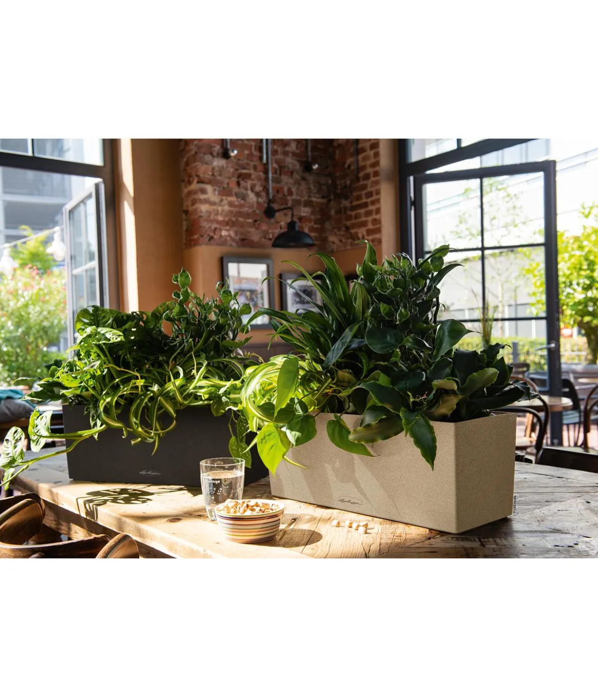 LECHUZA® Kunststoff-Kasten Balconera Stone, rechteckig