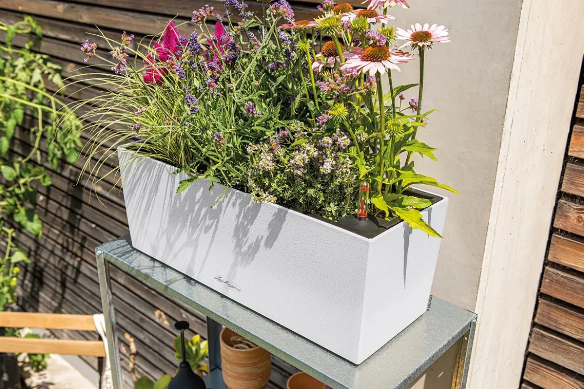 LECHUZA® Kunststoff-Kasten Balconera Stone, rechteckig