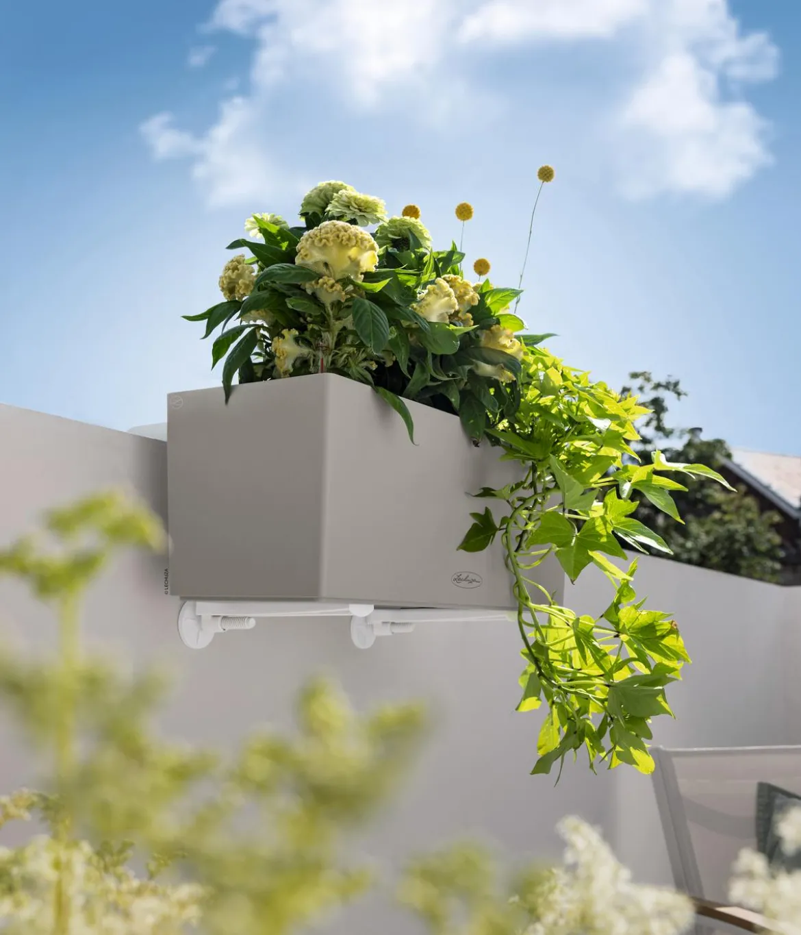 LECHUZA® Kunststoff-Kasten Balconera Color, rechteckig