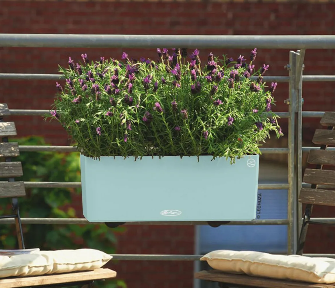 LECHUZA® Kunststoff-Kasten Balconera Color, rechteckig
