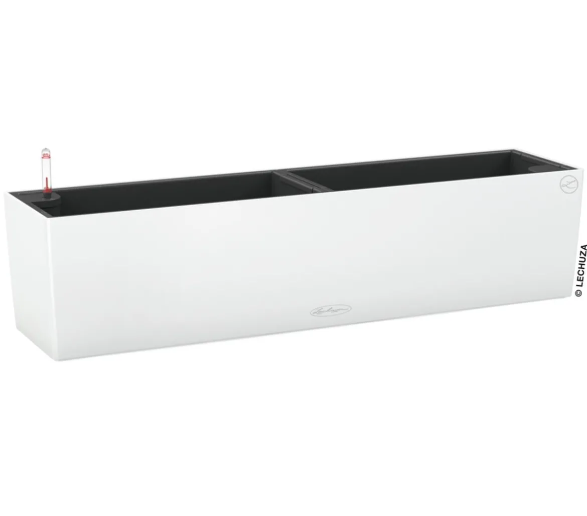 LECHUZA® Kunststoff-Kasten Balconera Color, rechteckig