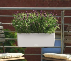 LECHUZA® Kunststoff-Kasten Balconera Color, rechteckig