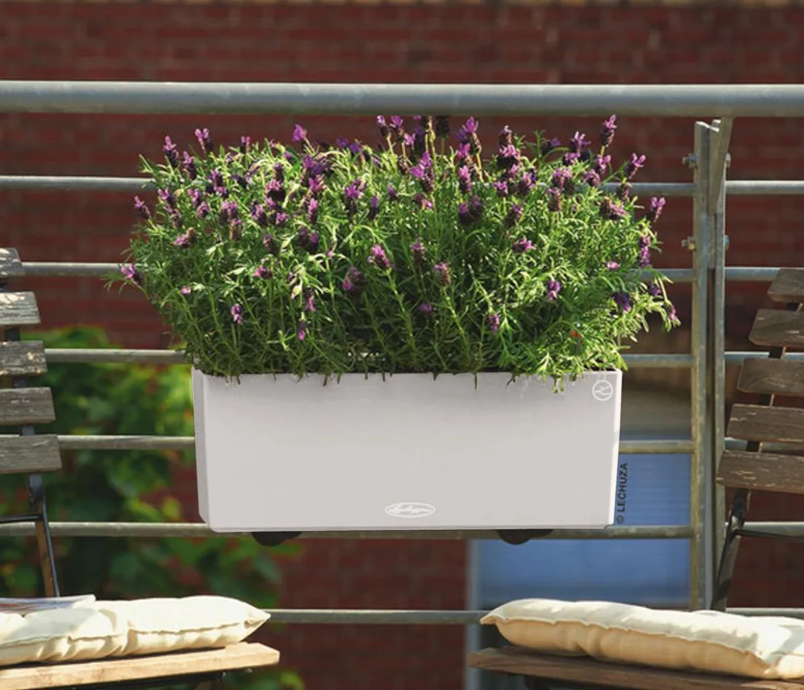 LECHUZA® Kunststoff-Kasten Balconera Color, rechteckig