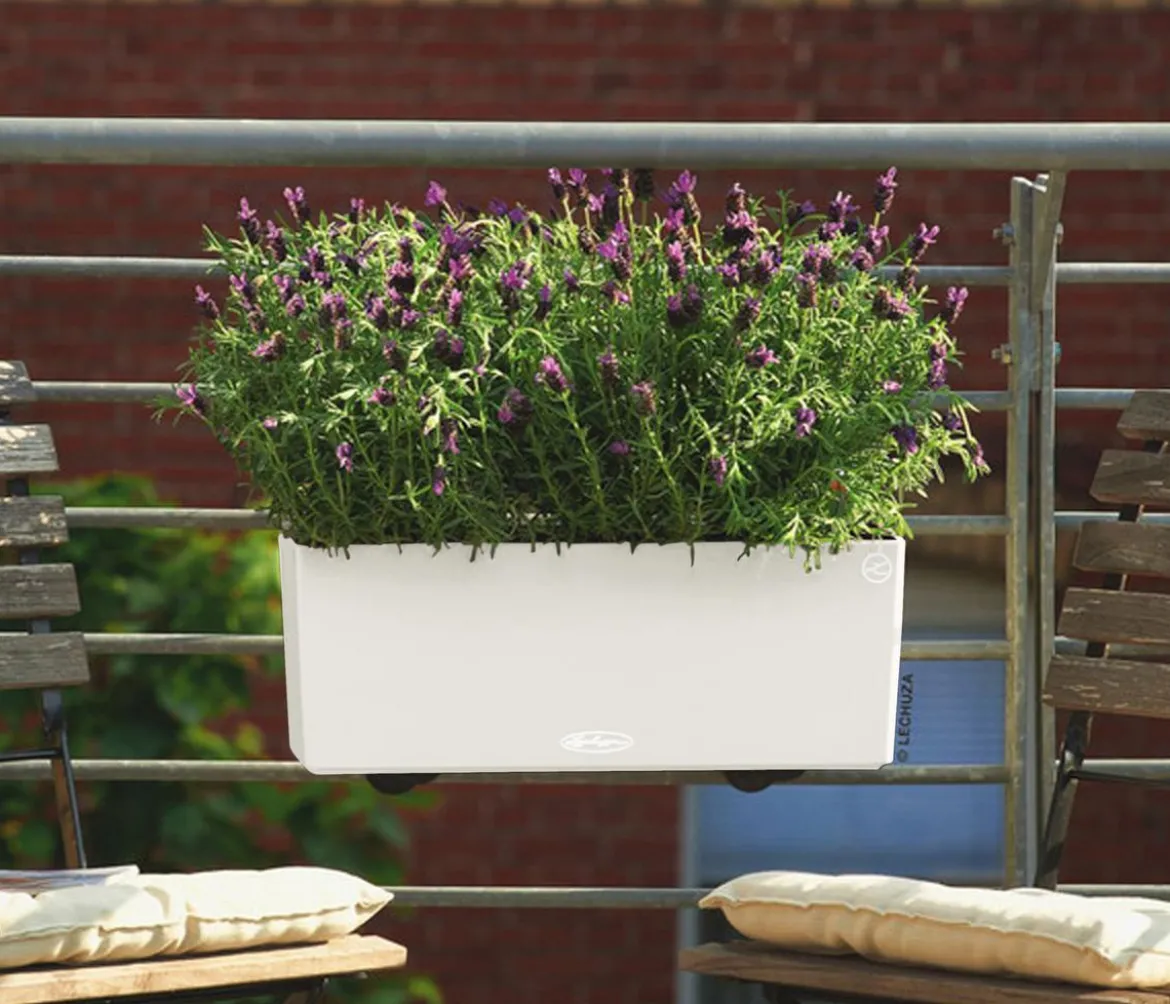 LECHUZA® Kunststoff-Kasten Balconera Color, rechteckig
