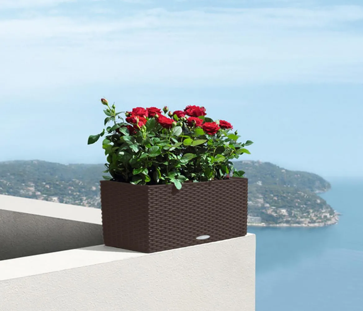 LECHUZA® Kunststoff-Kasten Balconera Cottage, rechteckig