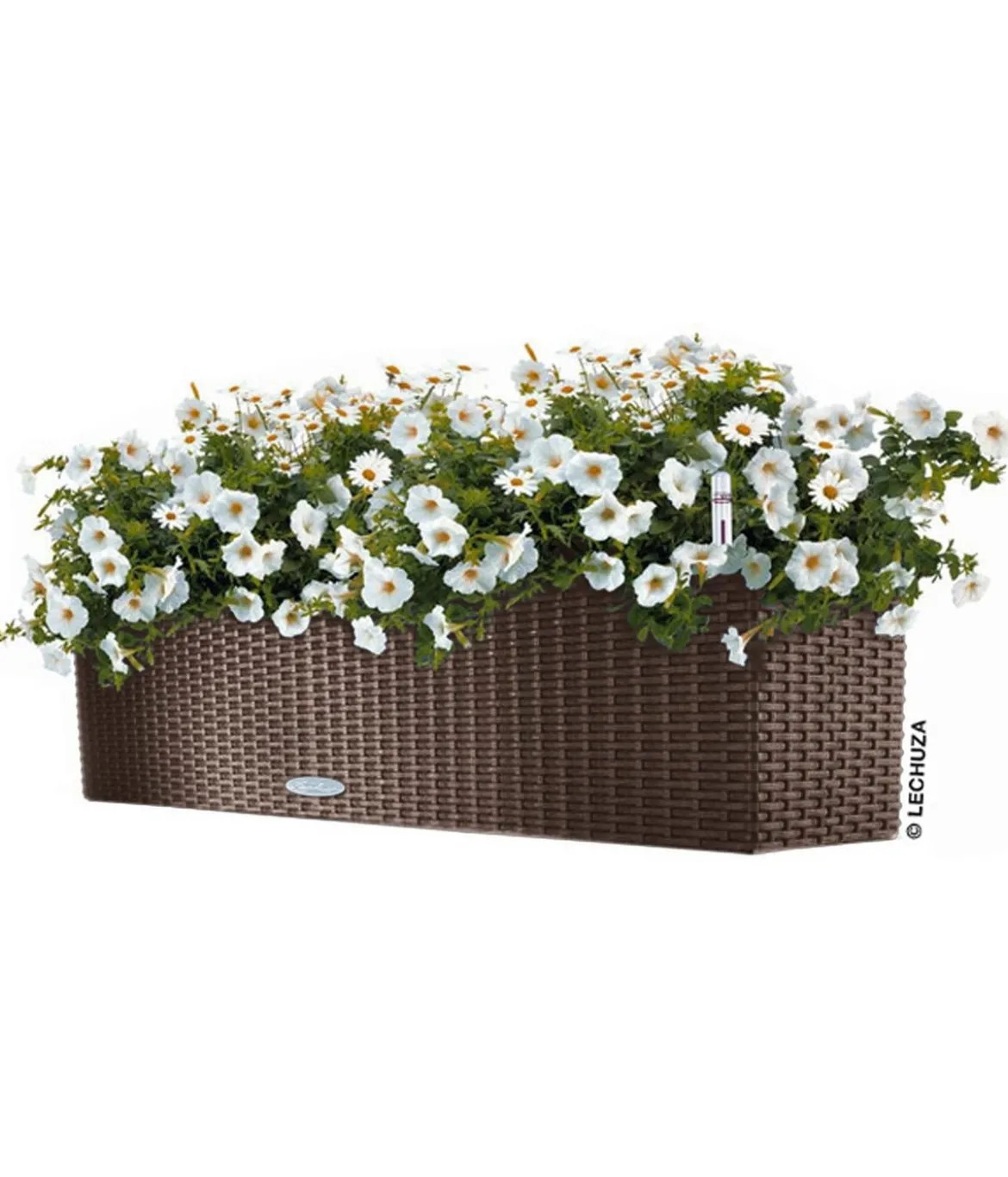 LECHUZA® Kunststoff-Kasten Balconera Cottage, rechteckig