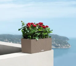 LECHUZA® Kunststoff-Kasten Balconera Cottage, rechteckig