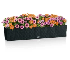 LECHUZA® Kunststoff-Kasten Balconera Cottage, rechteckig