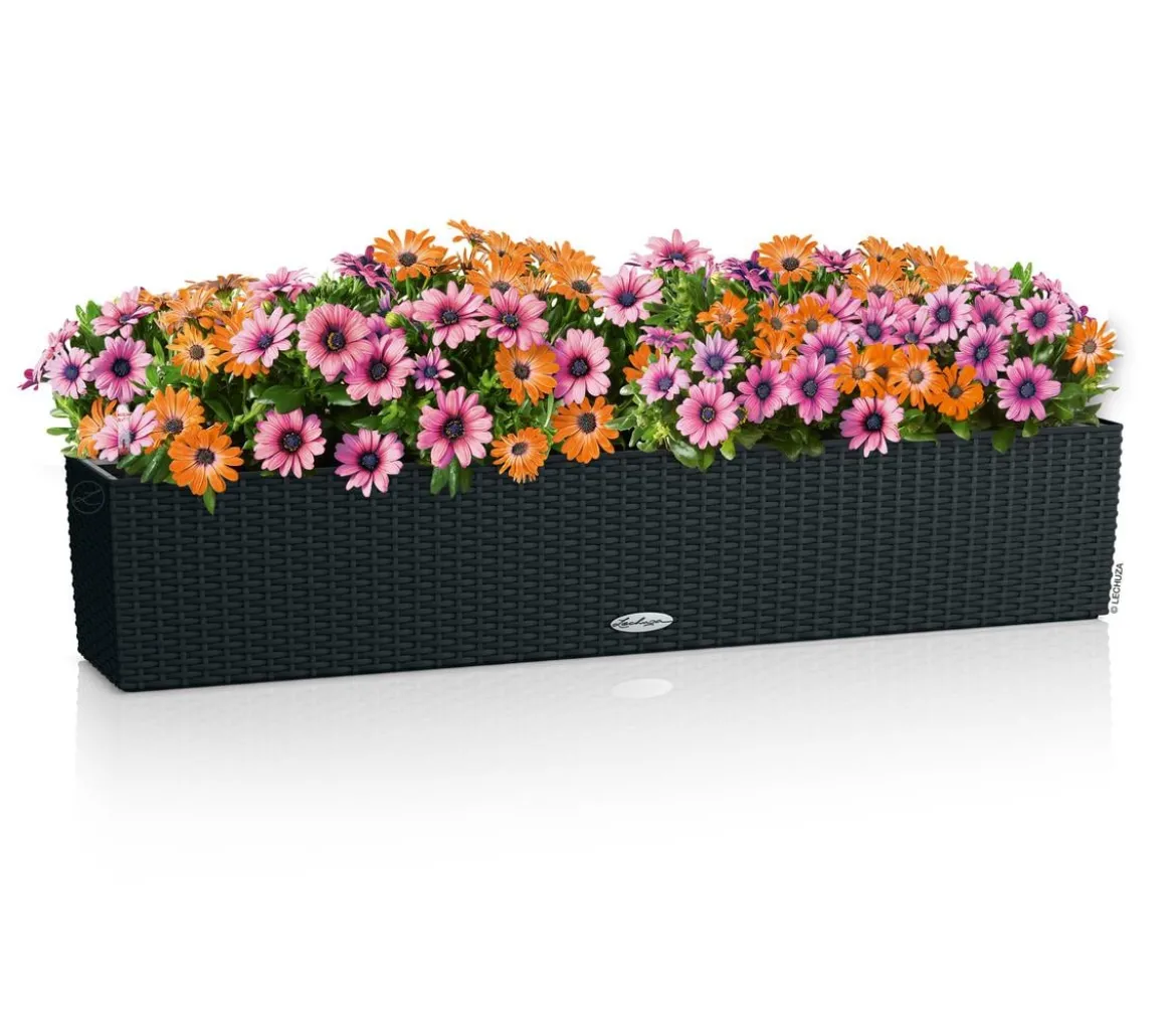 LECHUZA® Kunststoff-Kasten Balconera Cottage, rechteckig
