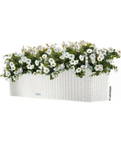 LECHUZA® Kunststoff-Kasten Balconera Cottage, rechteckig