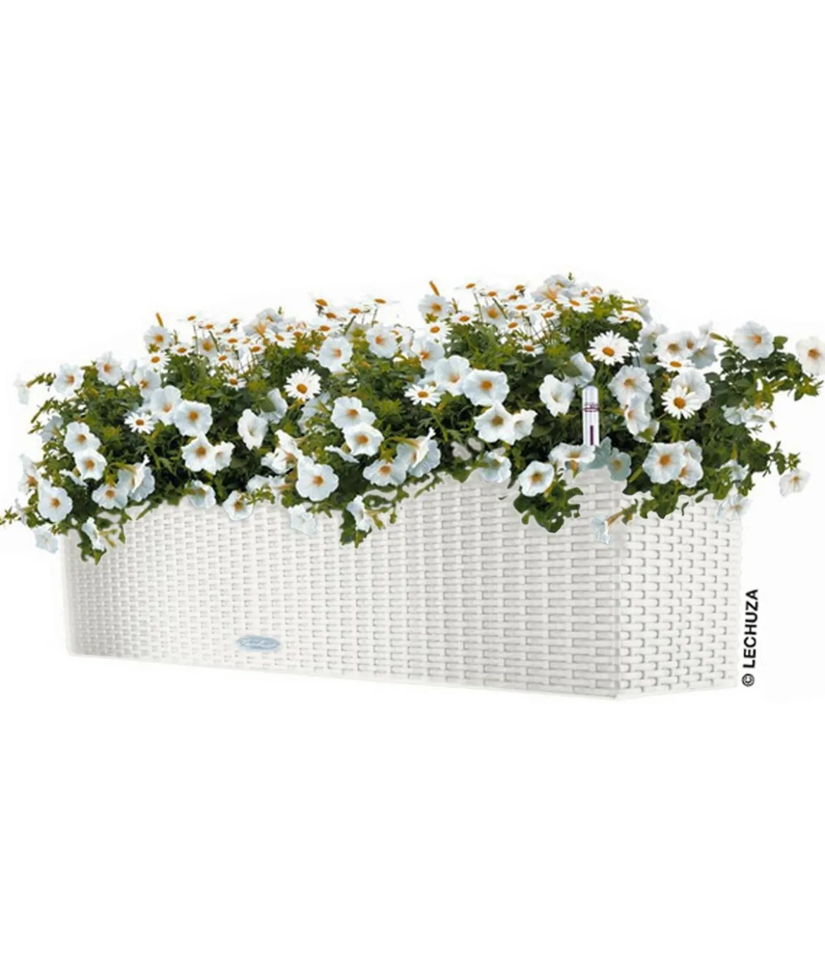 LECHUZA® Kunststoff-Kasten Balconera Cottage, rechteckig