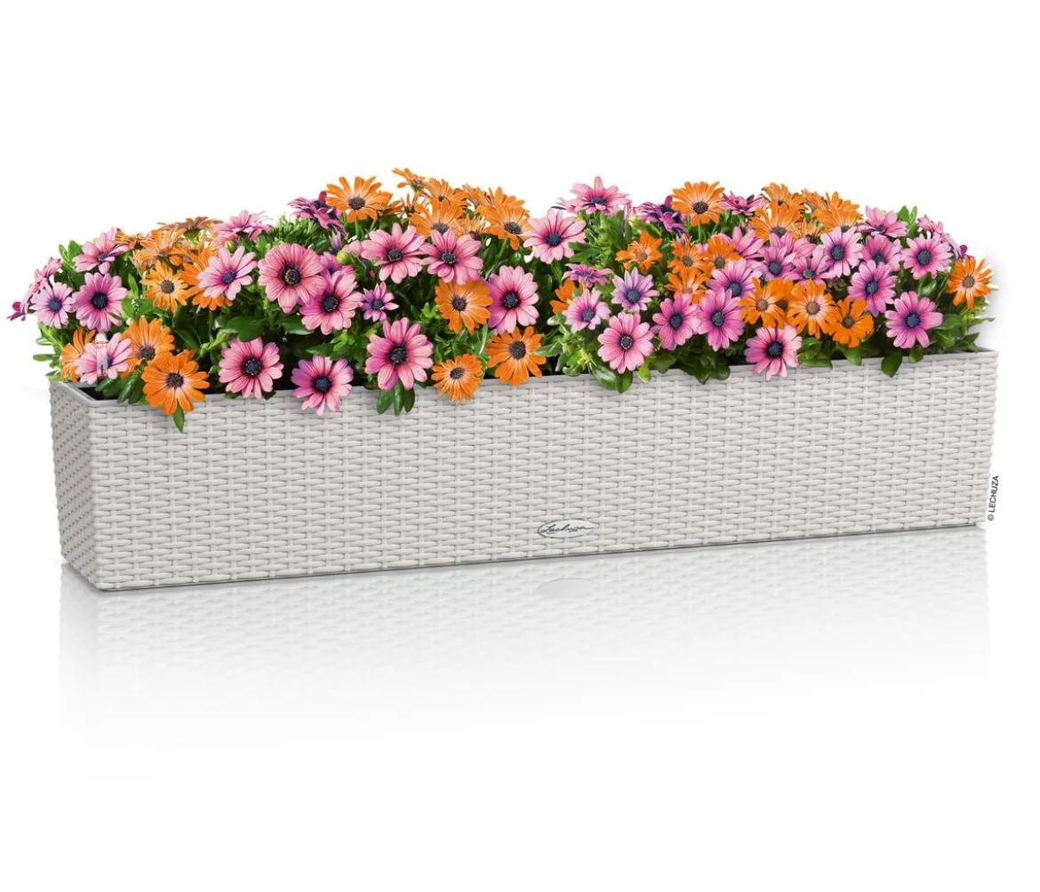 LECHUZA® Kunststoff-Kasten Balconera Cottage, rechteckig
