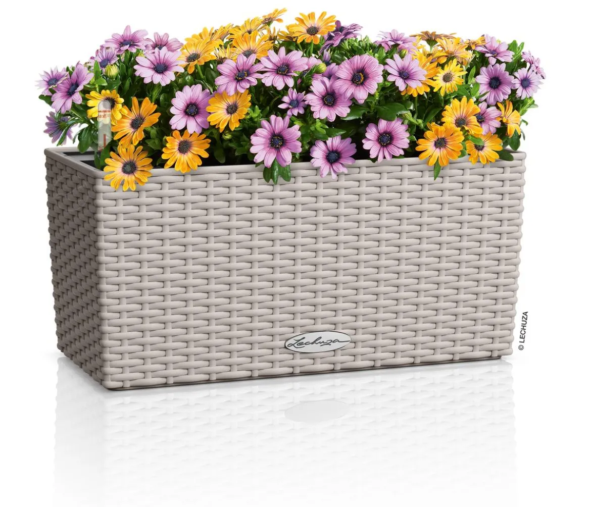 LECHUZA® Kunststoff-Kasten Balconera Cottage, rechteckig
